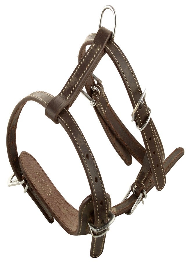 Skora Dog Puppy Harness, 36 x 23 inch - Image 5